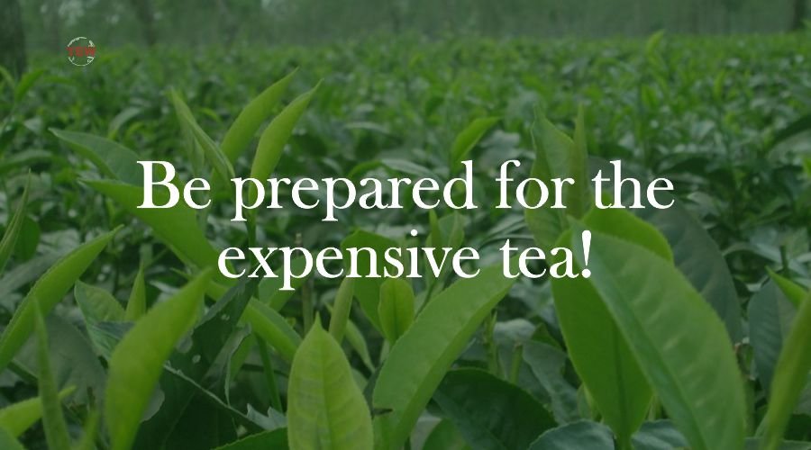 Tea Production - Lockdown Impact