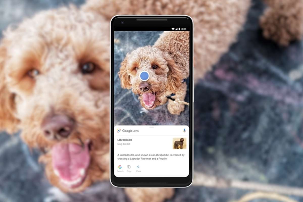 How to Find Your Pictures Over the Internet? Best 5 ideas | The Enterprise World