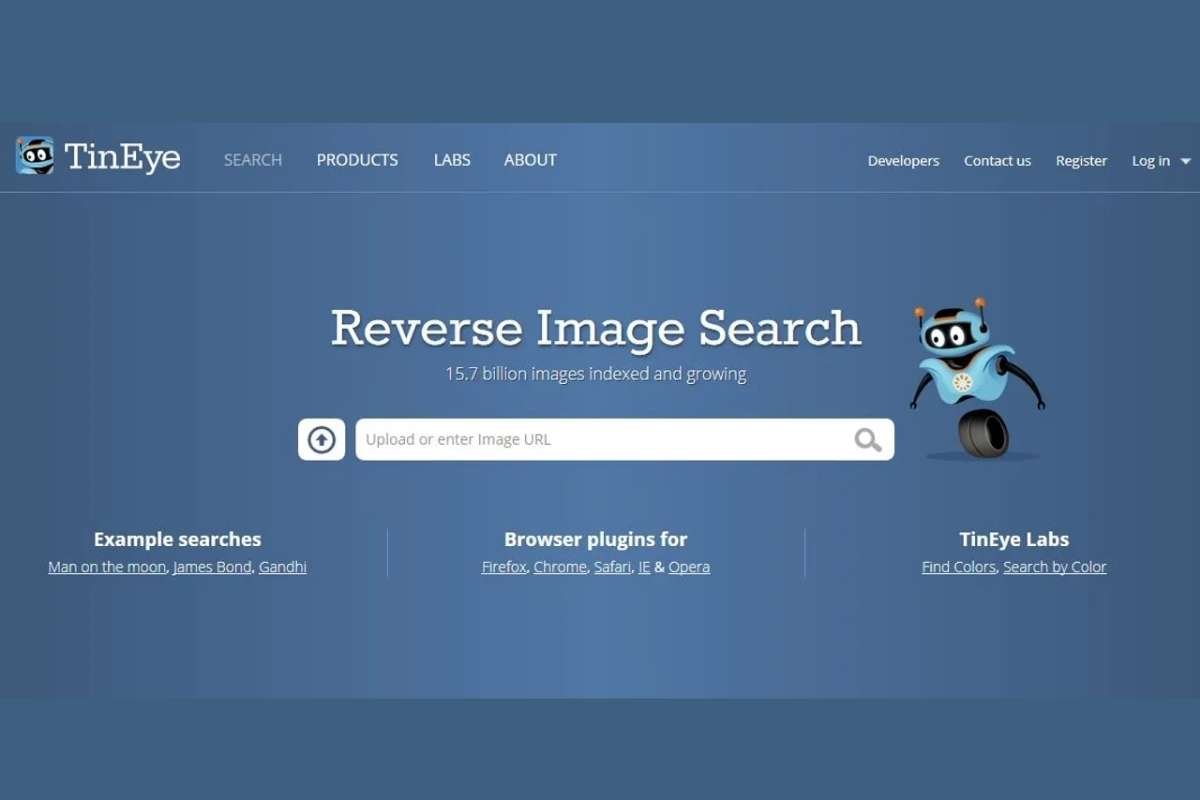 How to Find Your Pictures Over the Internet? Best 5 ideas | The Enterprise World