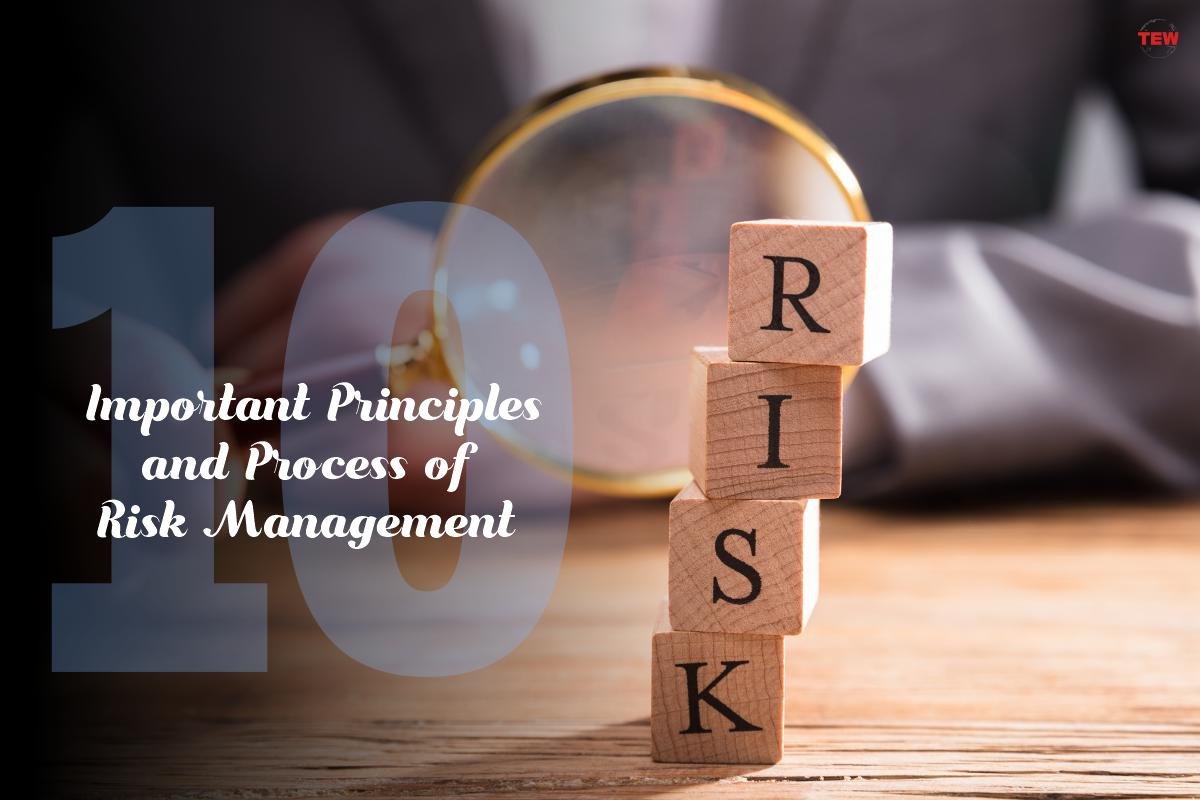 10 Important Principles and Process of Risk Management