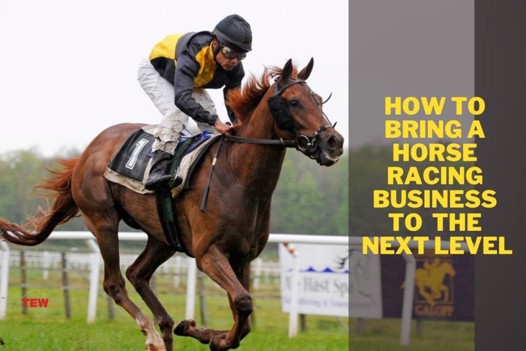 5 Ways to Make the Most of your Horse Racing Business