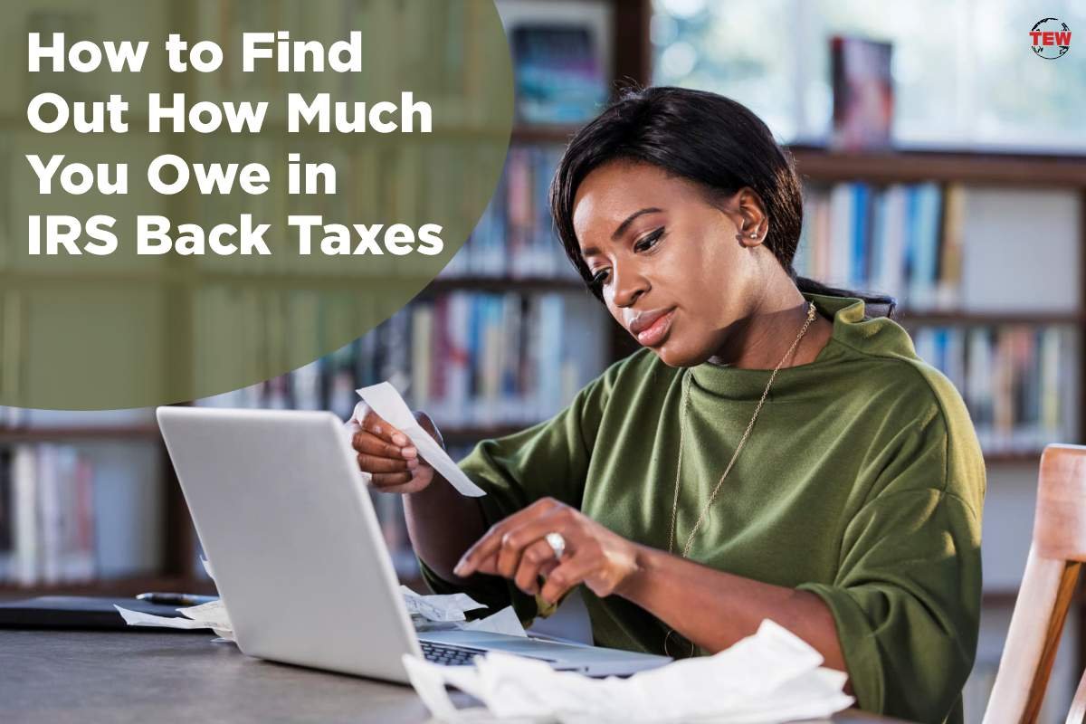 4 Ways To Find Out In IRS Back Taxes How Much You Owe The Enterprise 