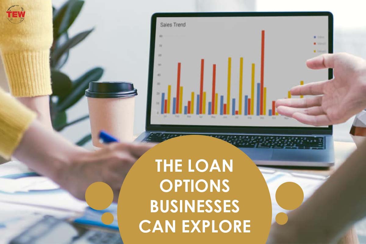 The Loan Options Businesses Can Explore 1