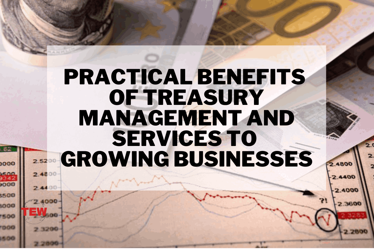 Practical Benefit of Treasury Management and Services to Growing Businesses_11zon
