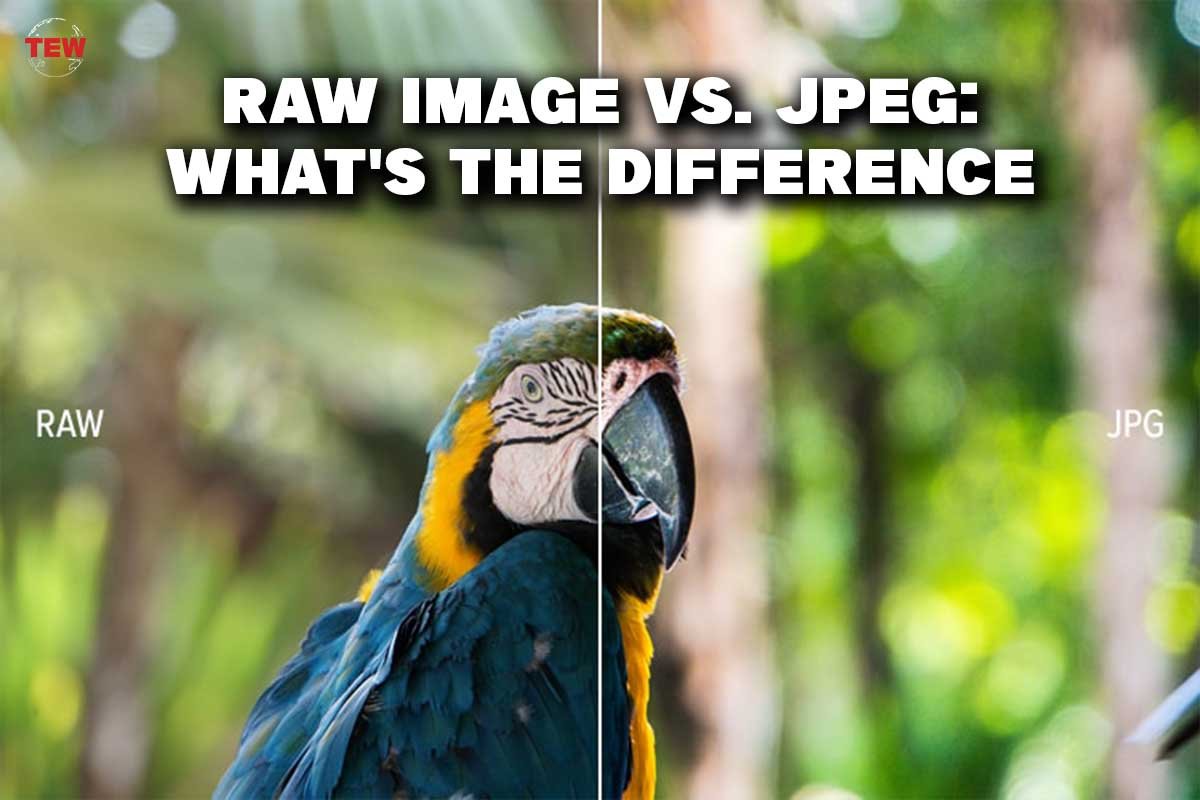 What Is The Difference Between RAW and JPEG Images? | The Enterprise World