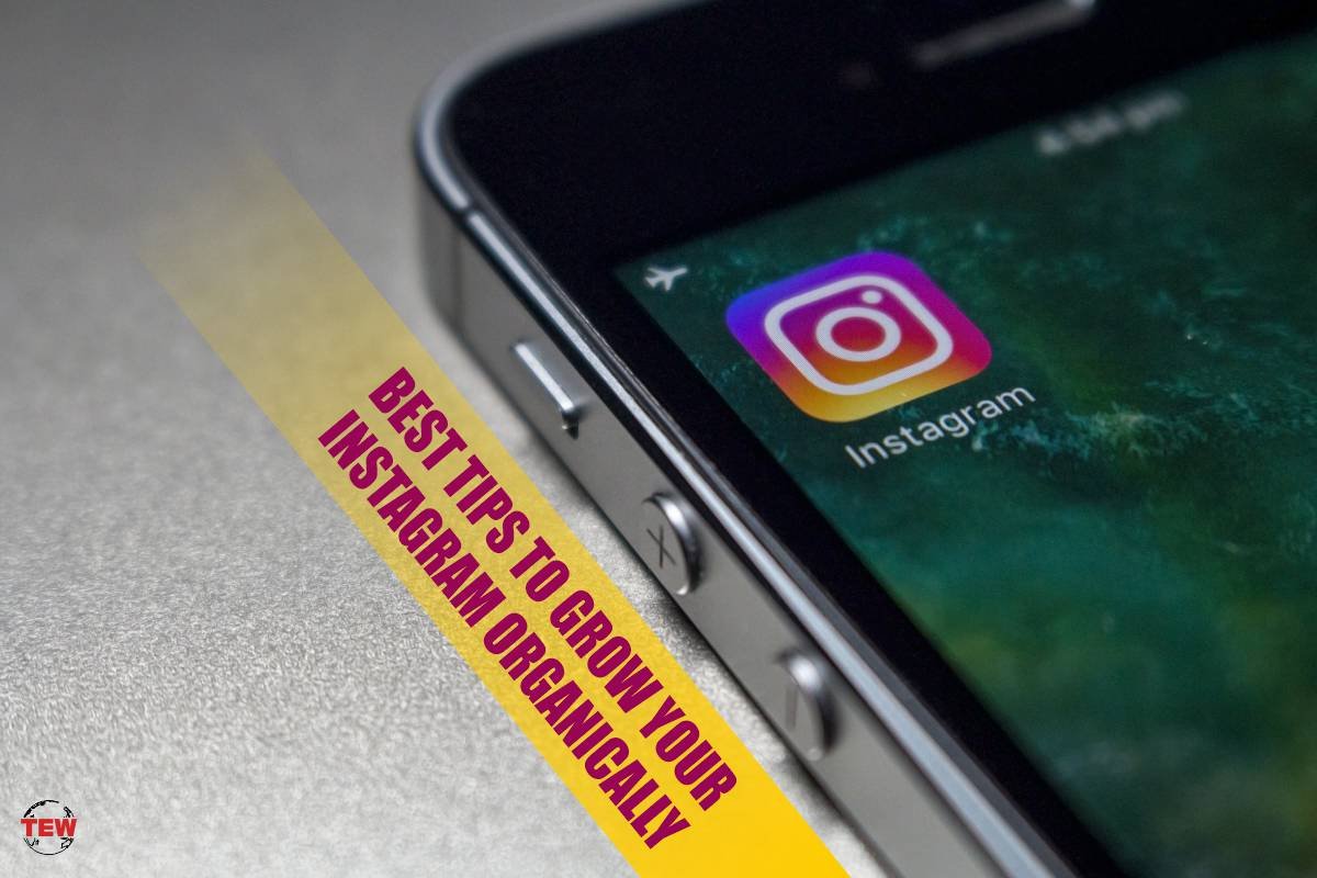Top 7 Tips To Grow Your Instagram Organically In 2023 | The Enterprise World