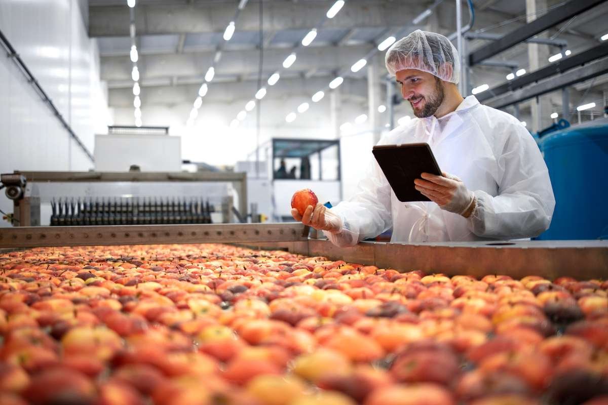 Innovations in Food Processing Boosting Trust & Taste | The Enterprise World