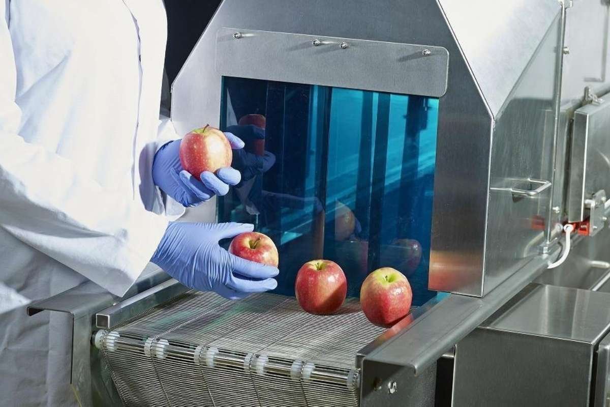 Innovations in Food Processing Boosting Trust & Taste | The Enterprise World