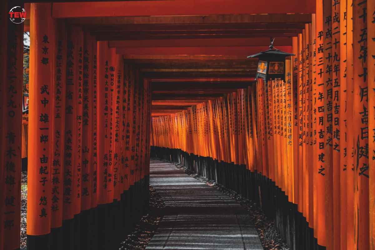 Kyoto – City with Dominant History and Culture : 6 Amaizing Facts : The Enterprise World