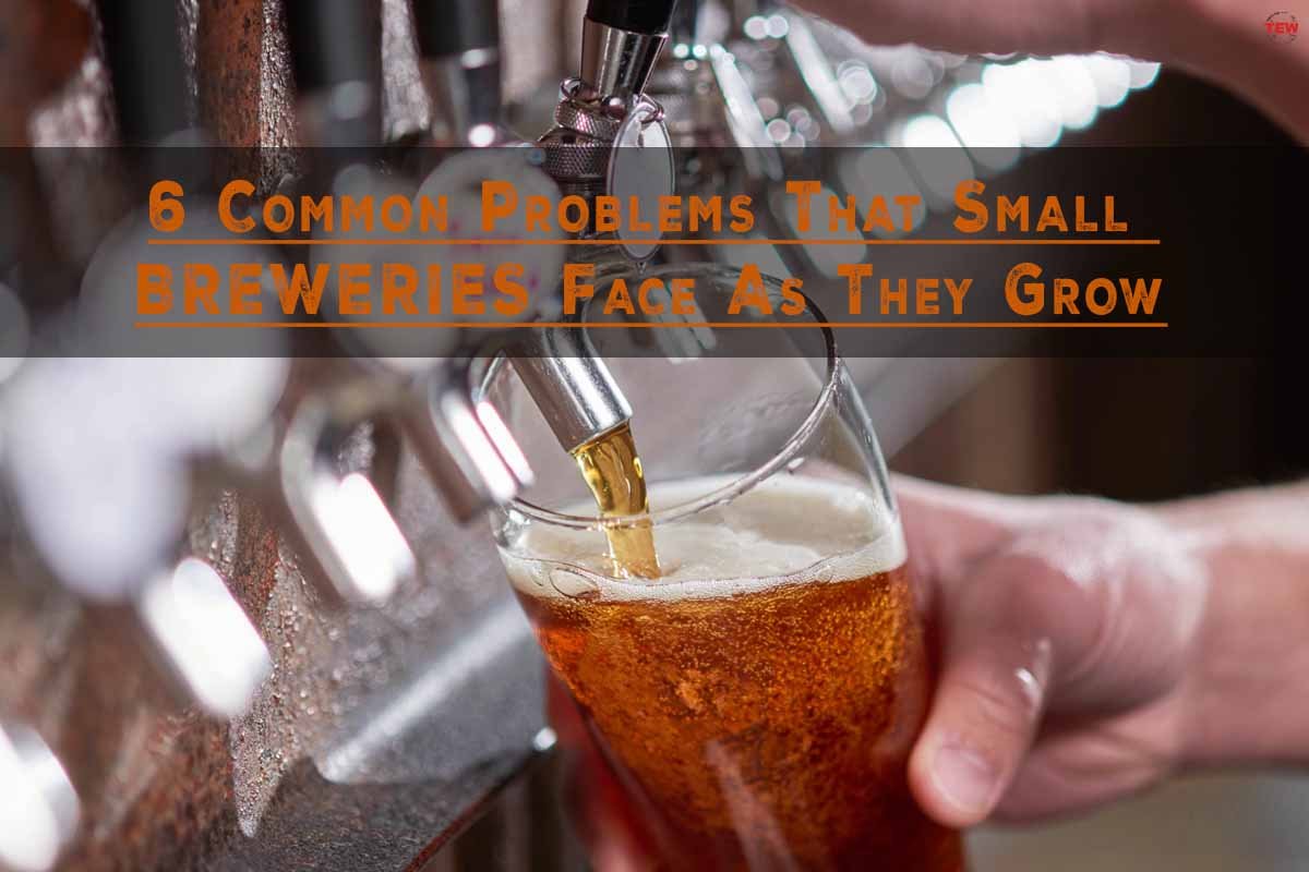 6 Common Problems That Small Breweries Face As They Grow The Enterprise World