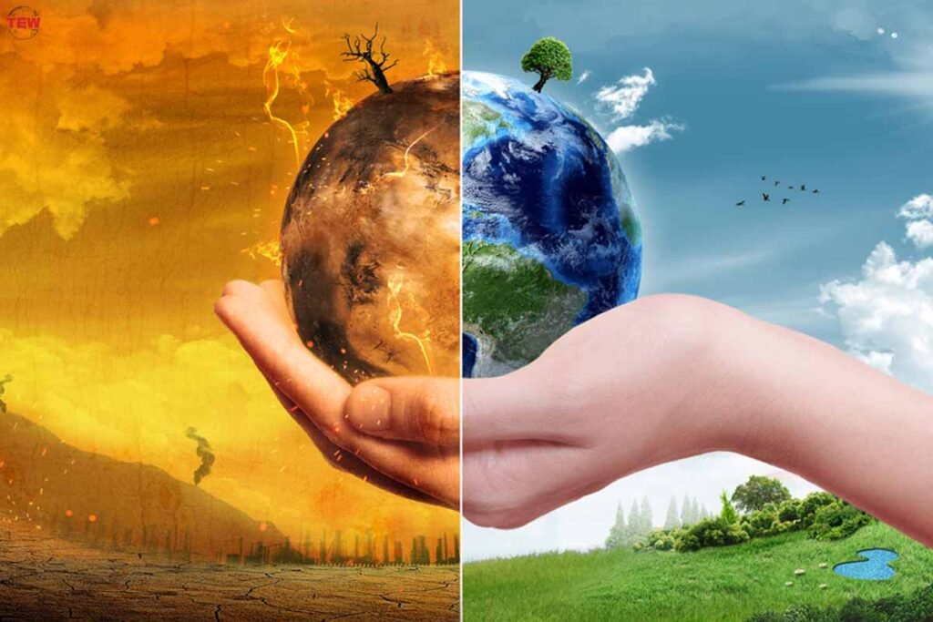 Climate Impacted World Need From A Property Developer?| 3 Best Reasons | The Enterprise World