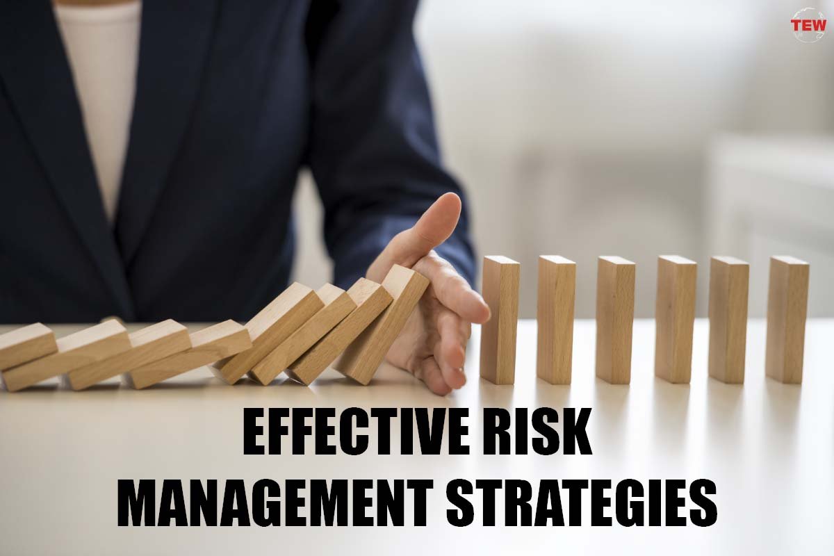 5 Effective Risk Management Strategies | The Enterprise World
