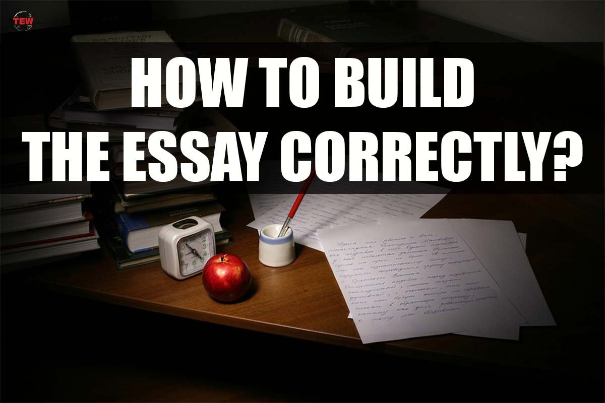 How to build the essay correctly?