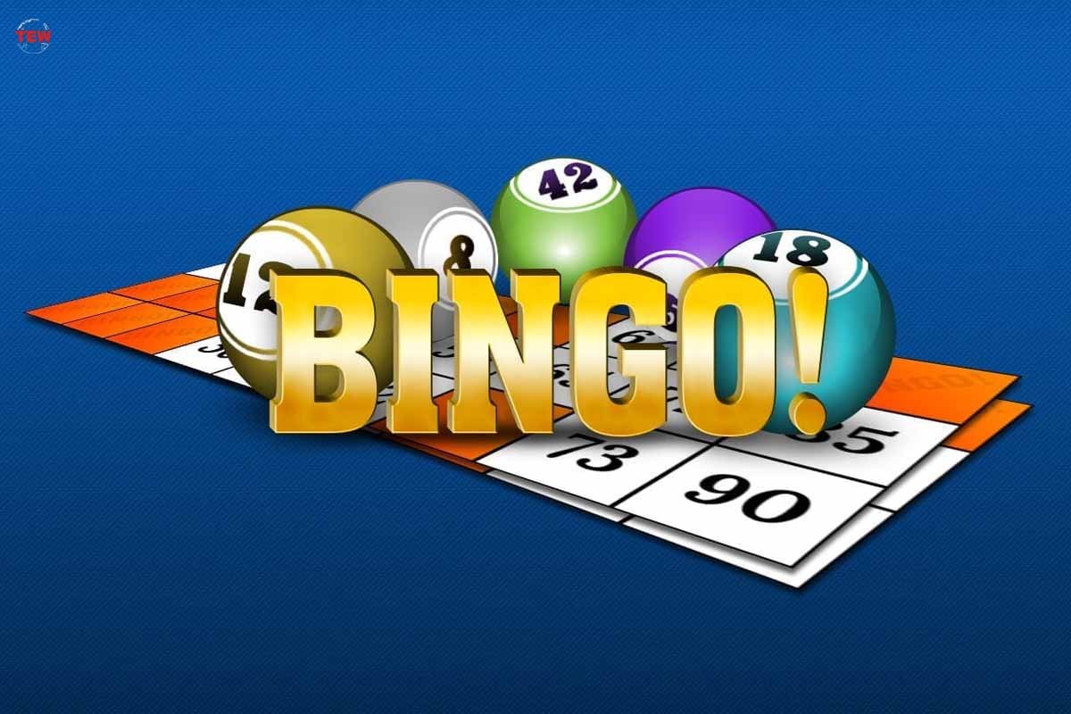 Non-Gamstop Bingo Software Companies |5 Best Examples| The Enterprise World