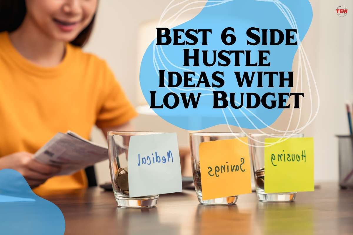 Best 6 Side Hustle Ideas with Low Budget | The Enterprise World