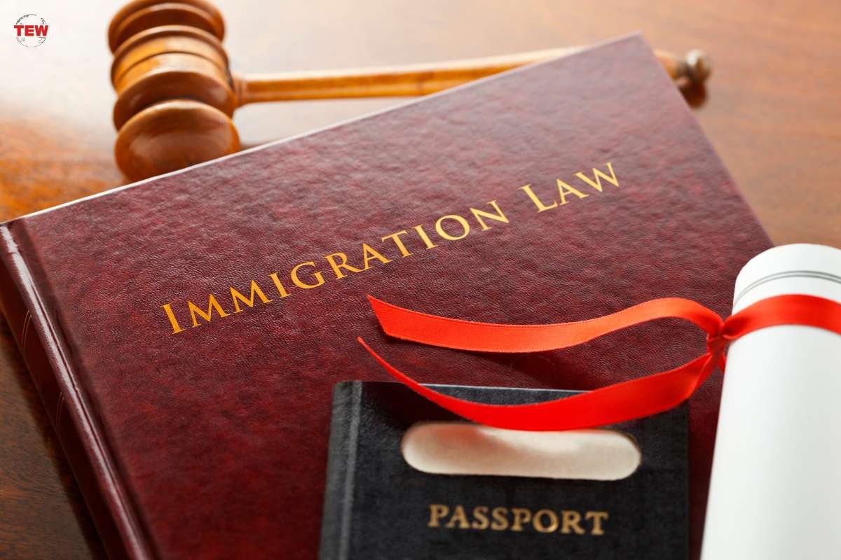 Role of Immigration Attorneys: 5 Ways to Help With Immigration Laws | The Enterprise World