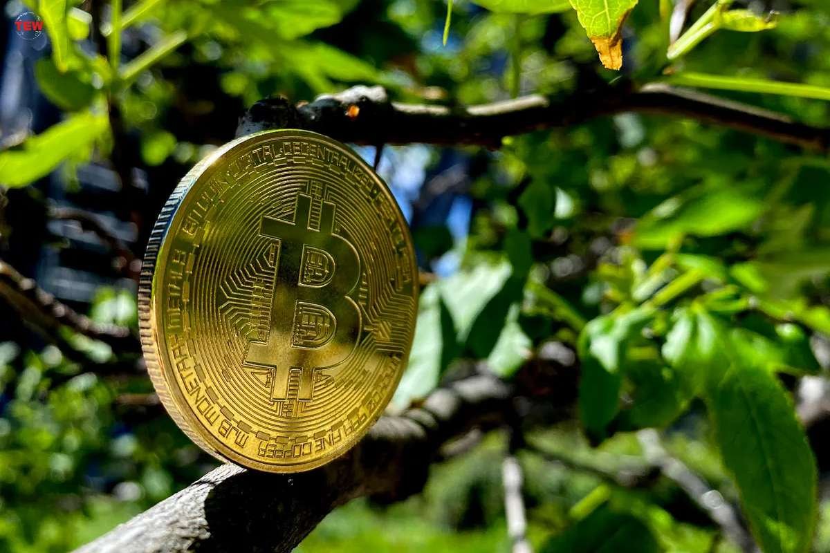 Environmental Changes by Bitcoin Mining in Ethiopia | The Enterprise World