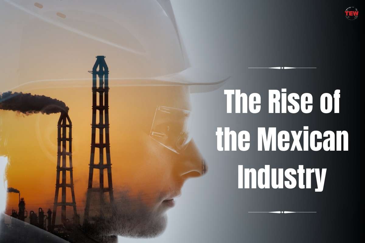 The Rise of the Mexican Industry