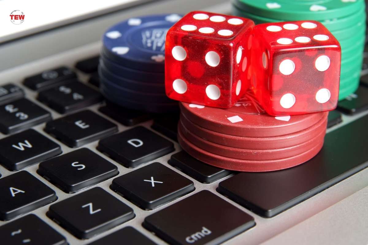 Factors to Consider When Starting an Online Casino Business | The Enterprise World