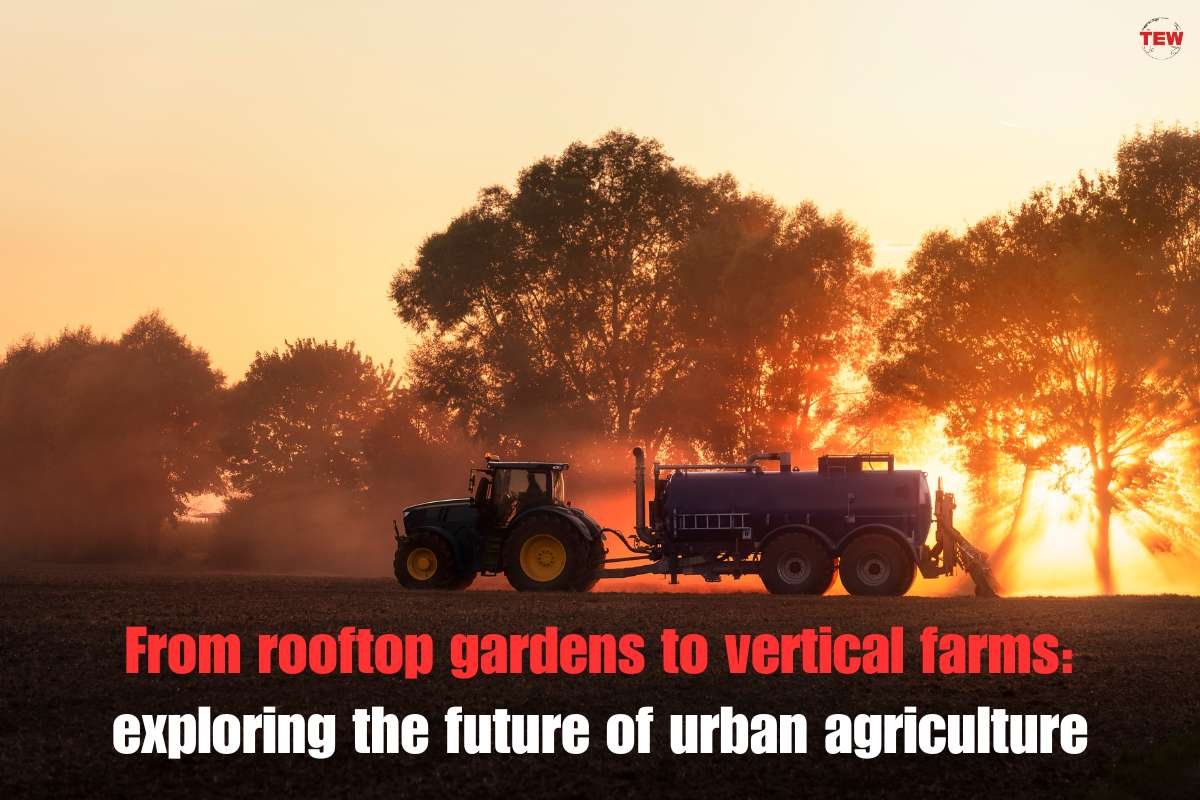 From rooftop gardens to vertical farms: exploring the future of urban agriculture