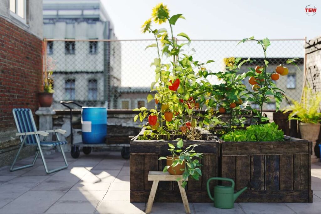 Exploring The Future Of Urban Agriculture: From Roof Gardens To ...