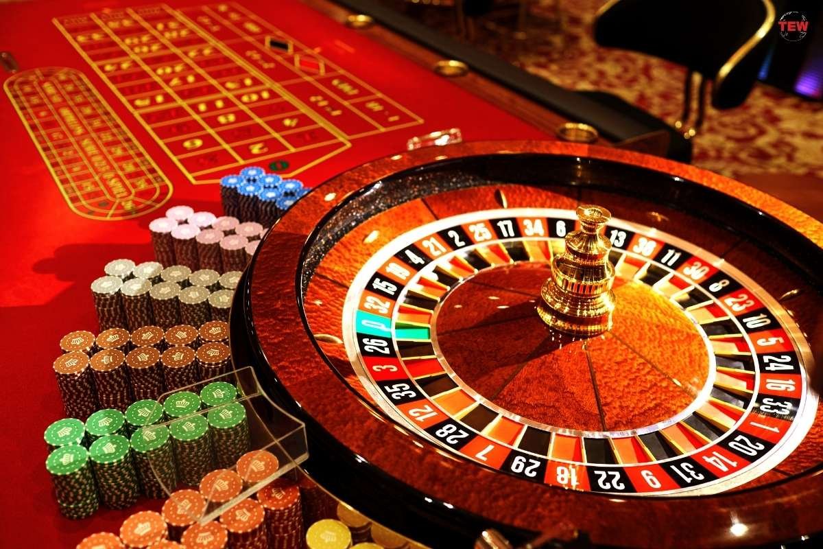 Casino Comparison Websites: How Websites Like Kiwigambler Work?  | The Enterprise World