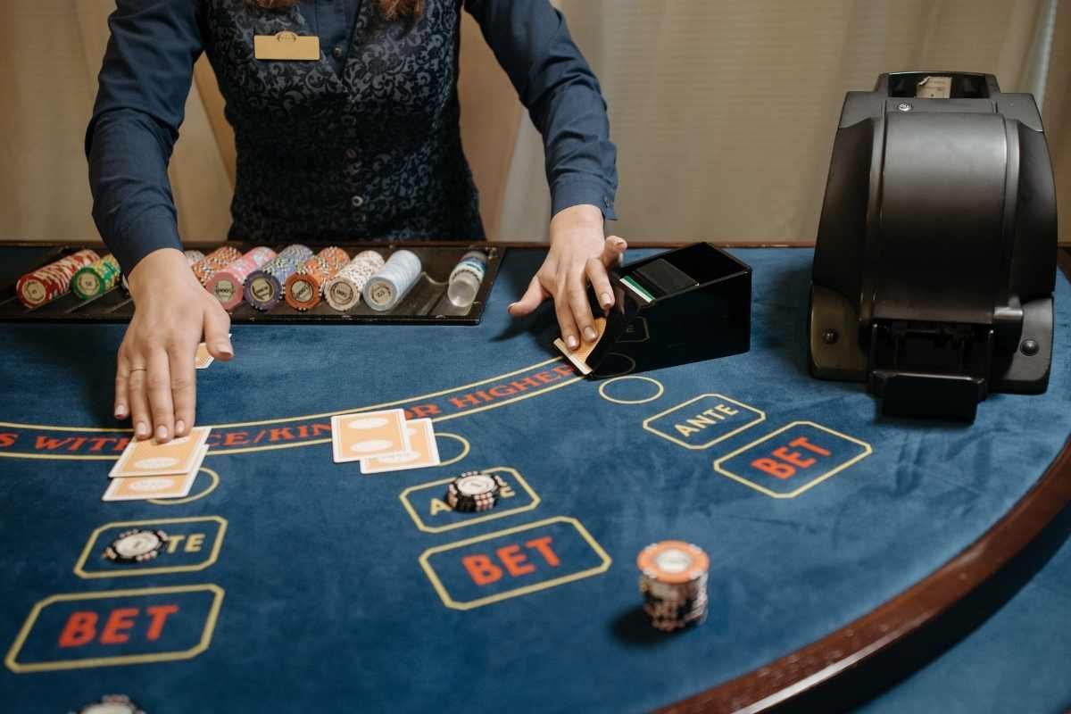 Top 5 Live Dealer Casino Games to Play in 2023 | The Enterprise World