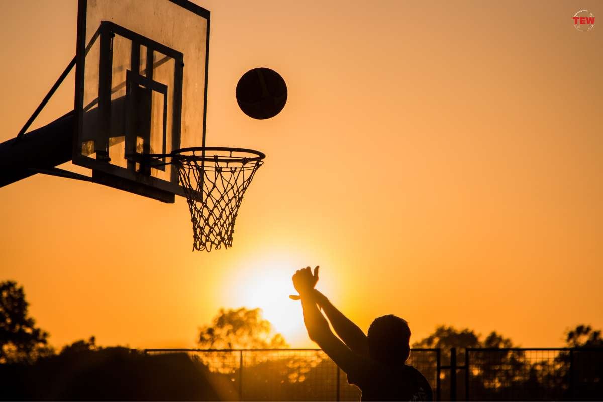 From the Court to the Boardroom: Key Lessons for Business Success Inspired by Basketball | The Enterprise World