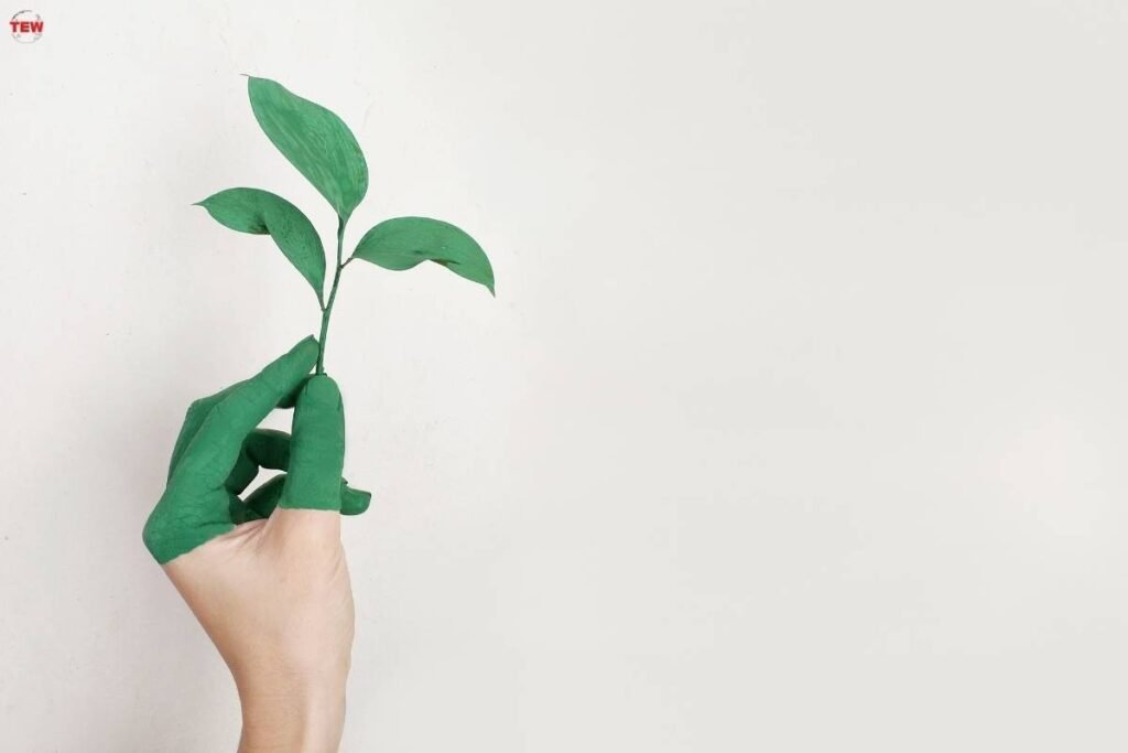 Why Sustainability in Business is Good? | The Enterprise World