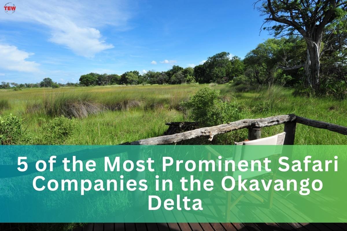 Okavango Delta: 5 of the Most Prominent Safari Companies | The Enterprise World