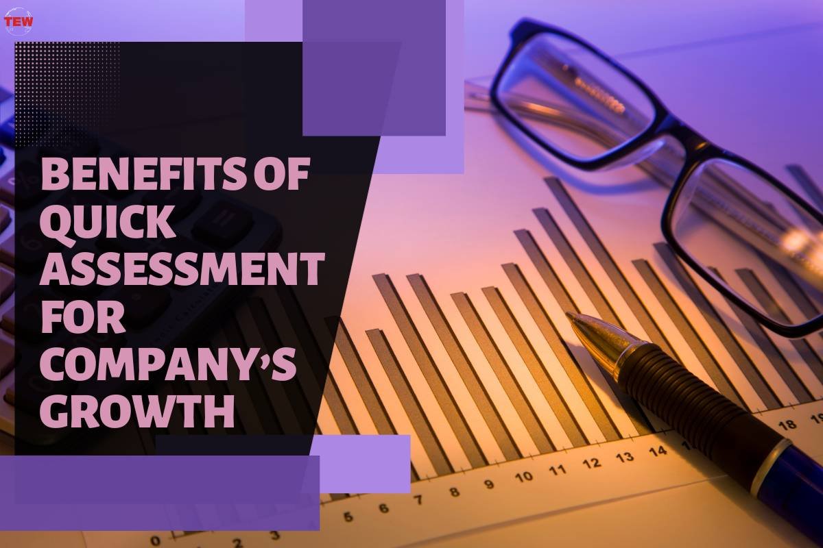 How a Quick Assessment Can Propel Your Company’s Growth and Success?