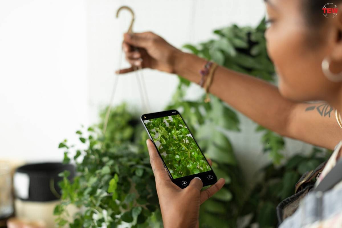 Online Plant Identification with The Tech Revolution | The Enterprise World