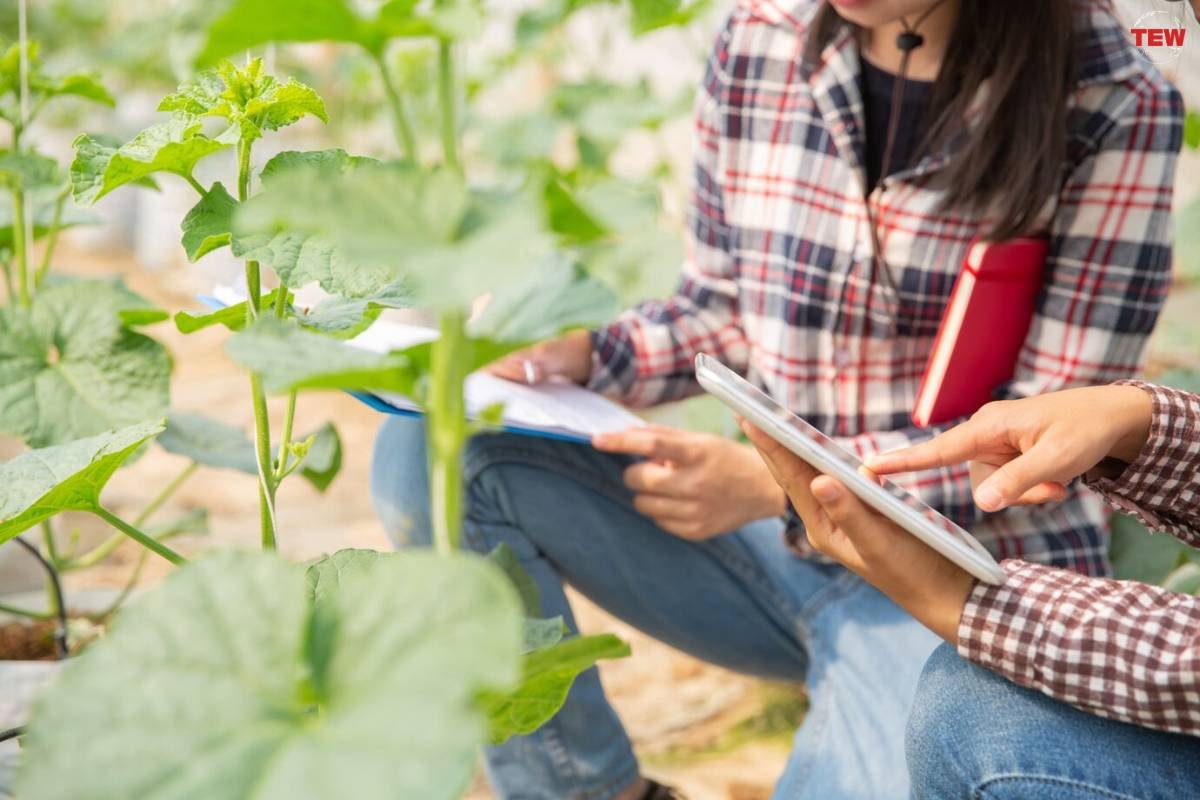 Online Plant Identification with The Tech Revolution | The Enterprise World