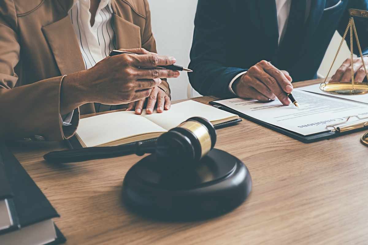 Dog Bite Lawyer in Houston: 5 Top Qualities to Look for | The Enterprise World