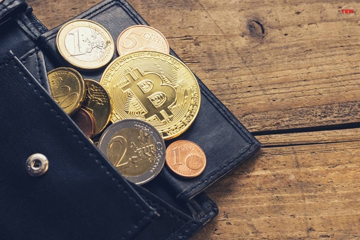 Growth and Diversification of Bitcoin Wallets