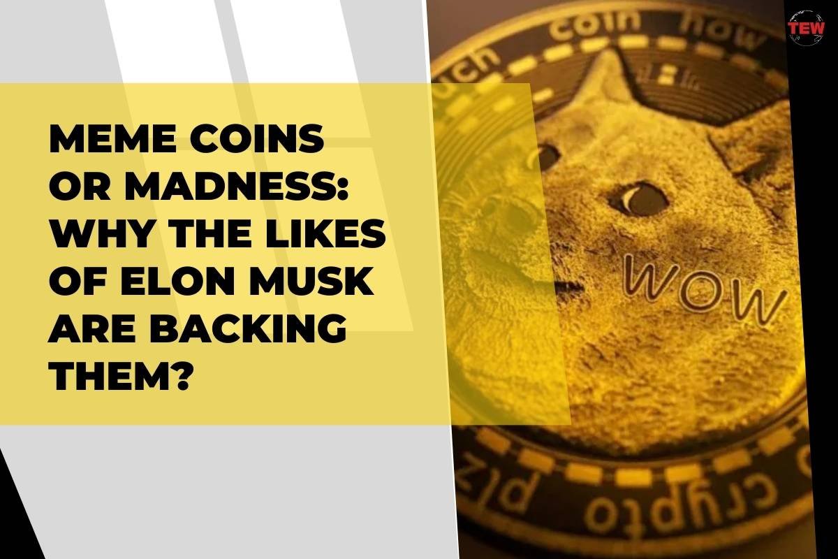 Meme Coins Or Madness: Why The Likes Of Elon Musk Are Backing Them? 