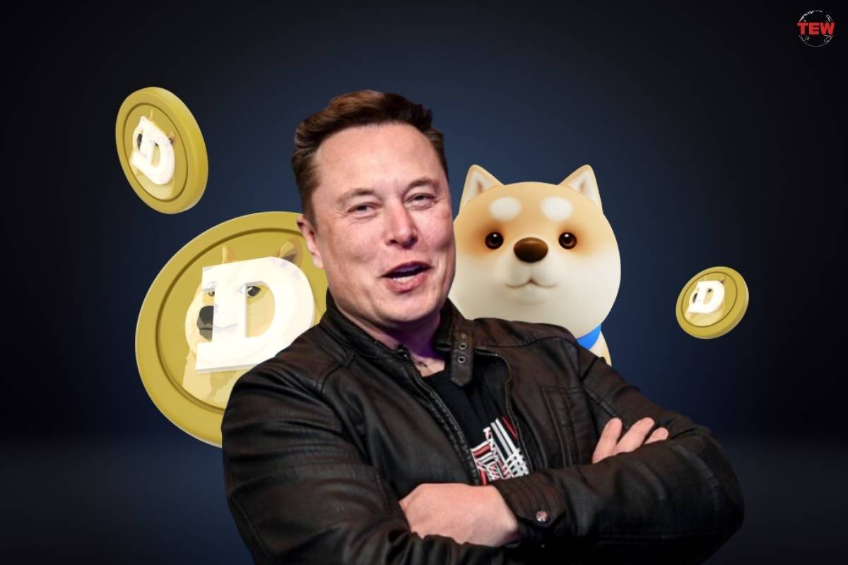 Meme Coins Or Madness: Why The Likes Of Elon Musk Are Backing Them? | The Enterprise World
