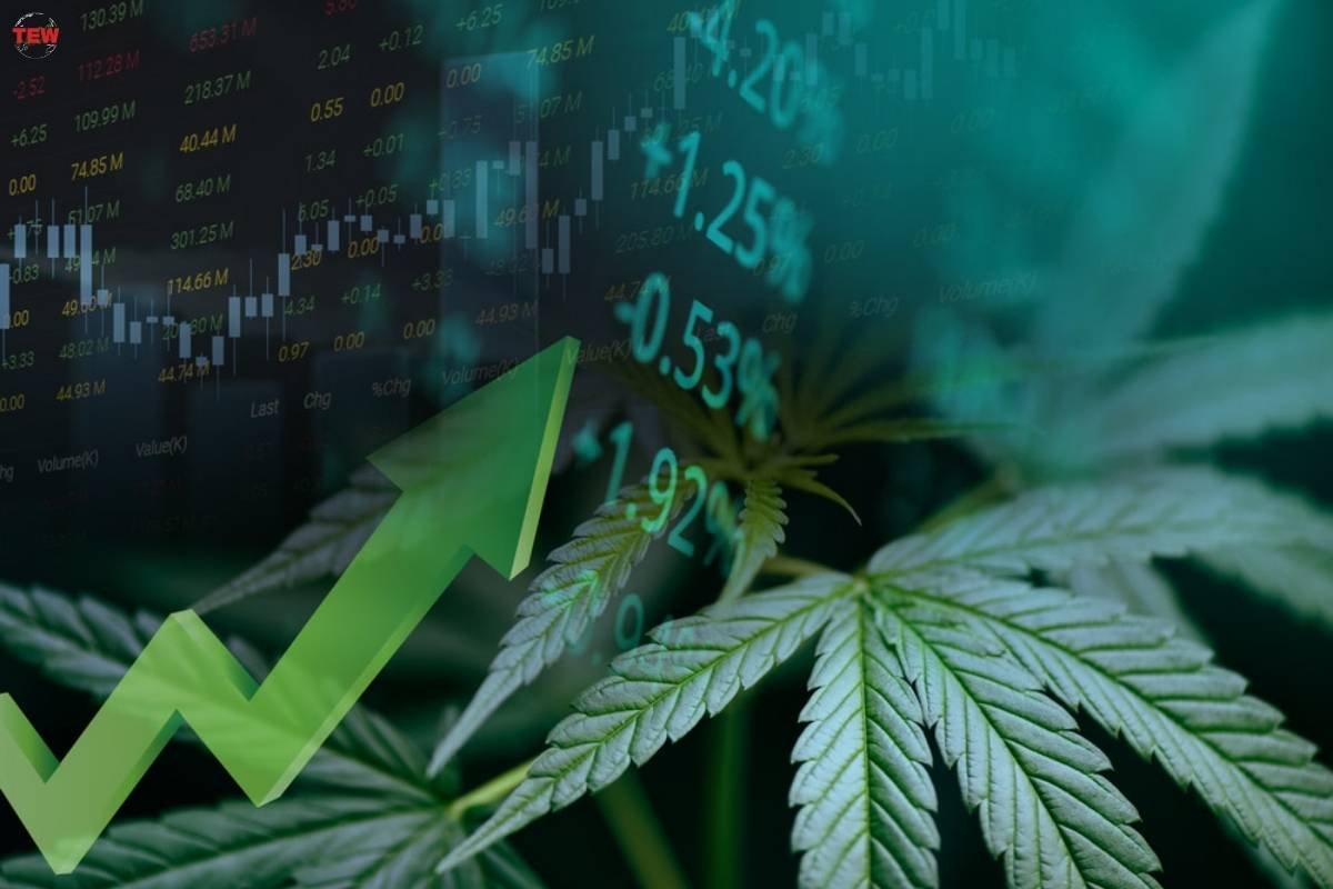 Cannabis Industry: Opportunities and Risks of Investing in it | The Enterprise World