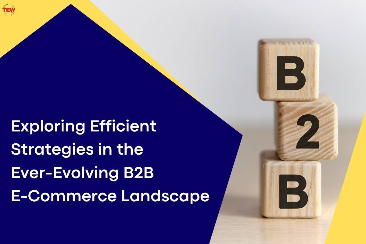 Strategies in the Ever-Evolving B2B E-Commerce Landscape | The Enterprise World