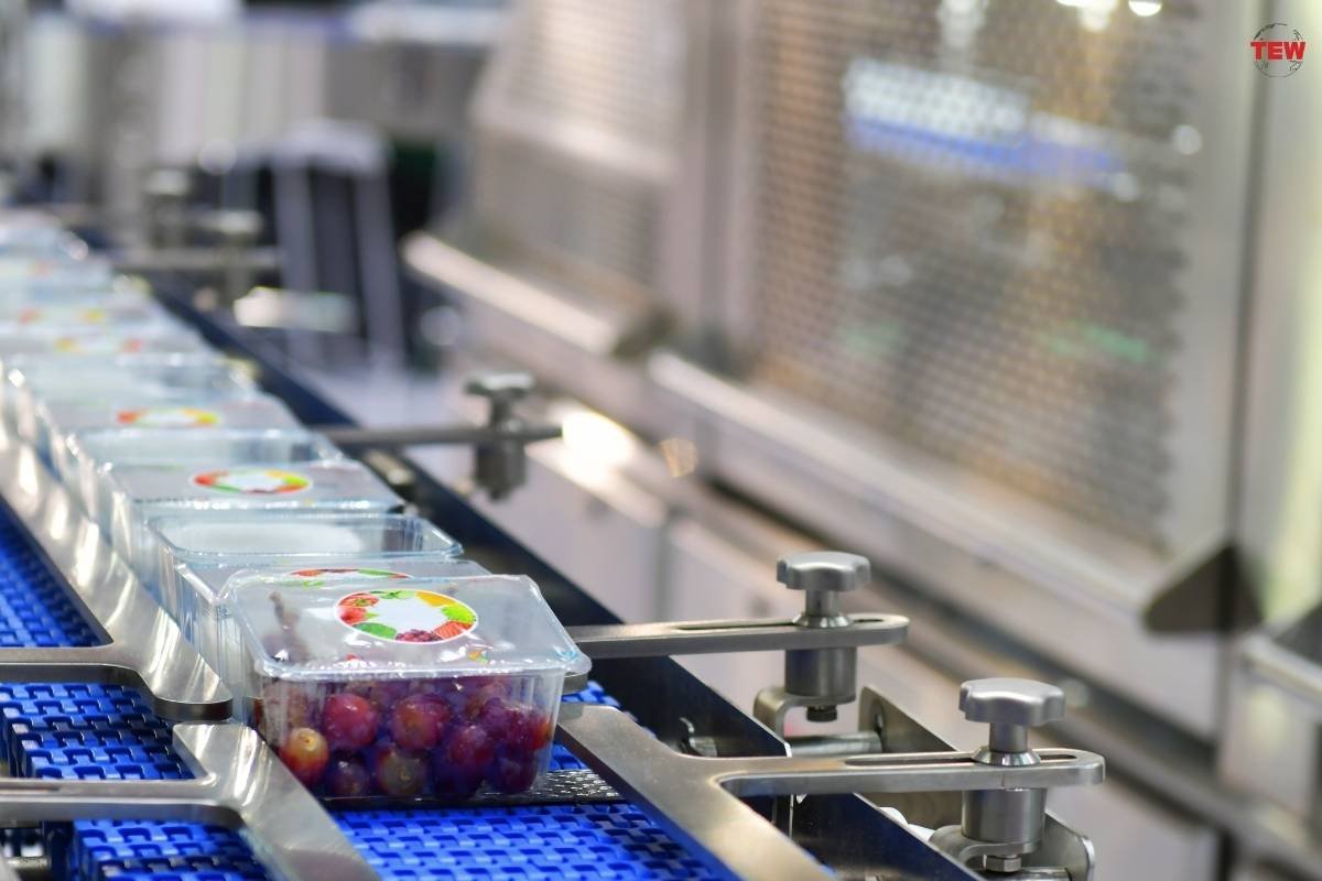 The Dynamic World of Food Manufacturing Companies | The Enterprise World