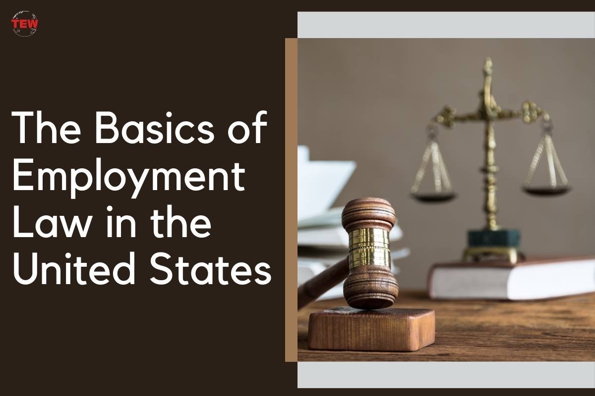 The Basics of Employment Law in the United States 