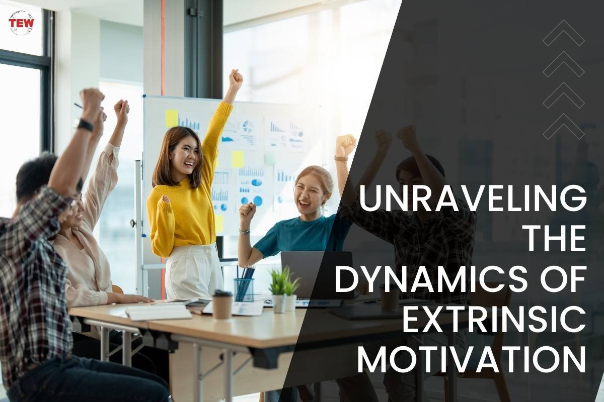 Unraveling the Dynamics of Extrinsic Motivation | The Enterprise World
