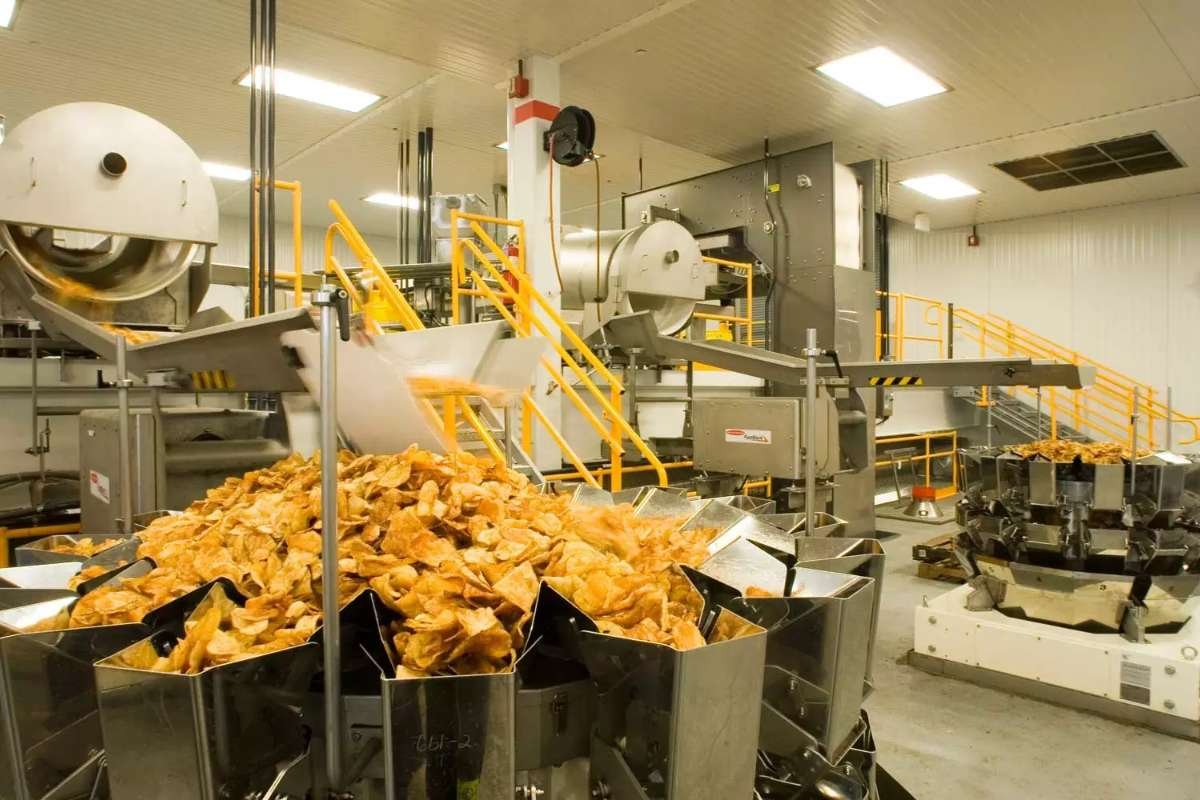 The Dynamic World of Food Manufacturing Companies | The Enterprise World