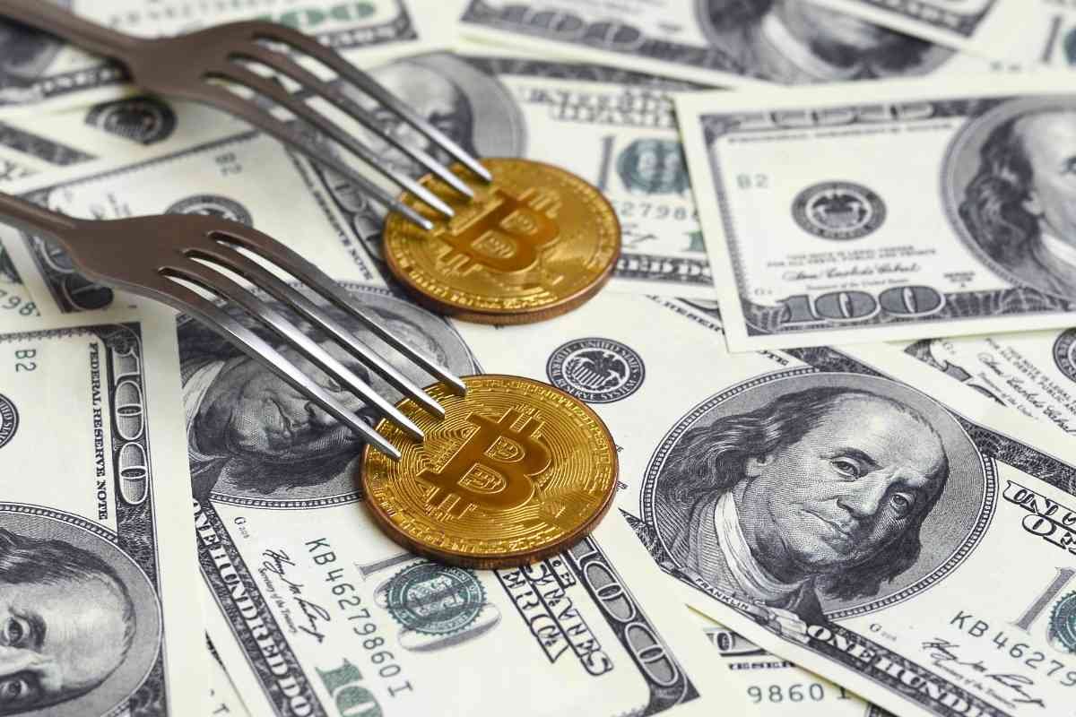 Understanding the Basics: Bitcoin Hard Forks | The Enterprise World