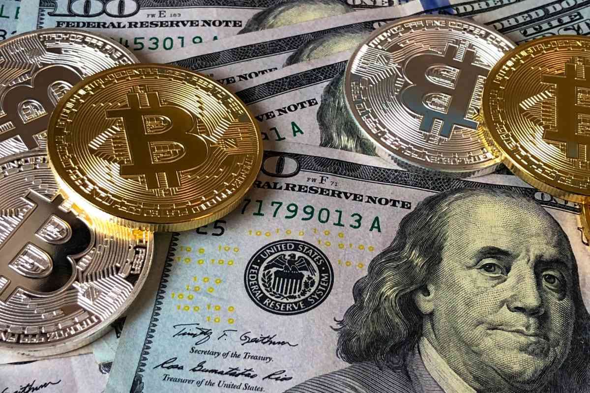 Bitcoin Cash: BCH for Wildlife Conservation Projects | The Enterprise World