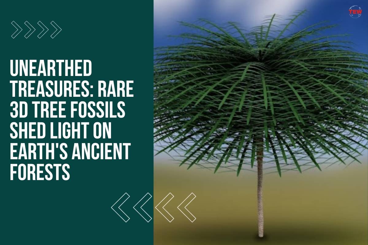 Unearthed Treasures: Rare 3D Tree Fossils Shed Light on Earth’s Ancient Forests