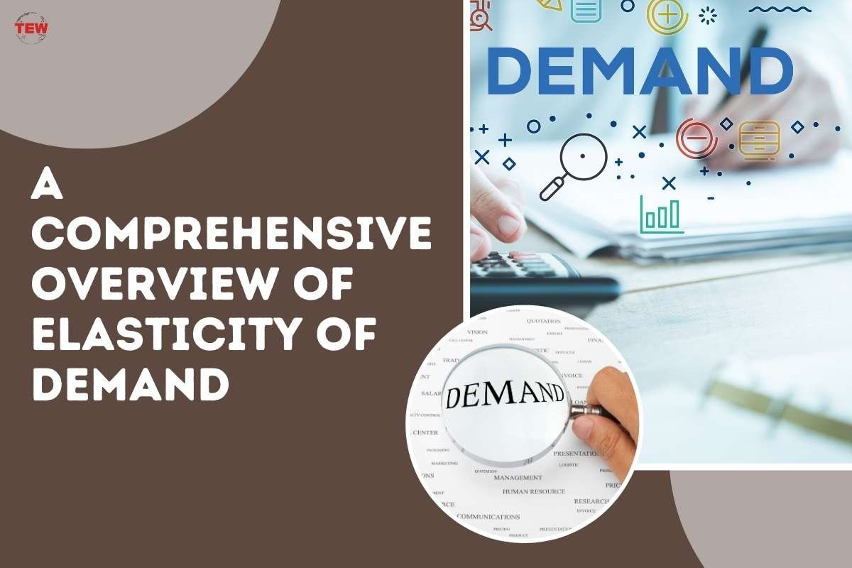 A Comprehensive Overview of Elasticity of Demand