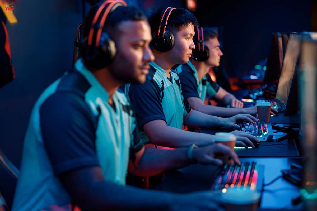 Why Return to Player (RTP) and Variance of Game Providers Are Important? | The Enterprise World
