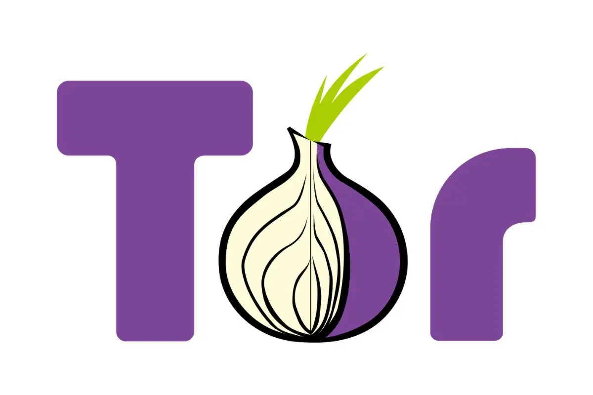 Best Browsers for Proxy: Top 2026 Privacy Picks | The Enterprise World