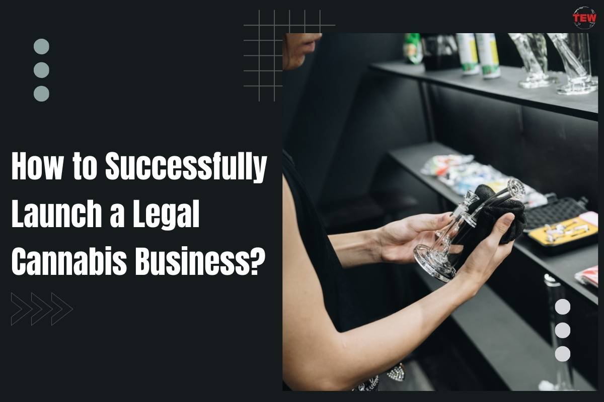 How to Successfully Launch a Legal Cannabis Business? | The Enterprise World